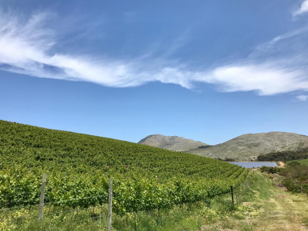 Kleine Vrede Farm Cottage Hermanus Bagian luar foto