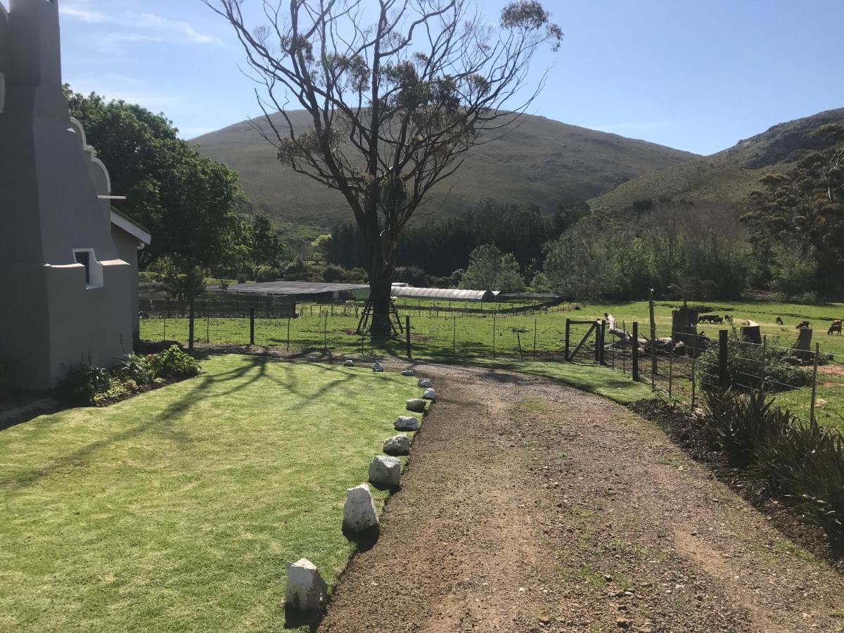 Kleine Vrede Farm Cottage Hermanus Bagian luar foto