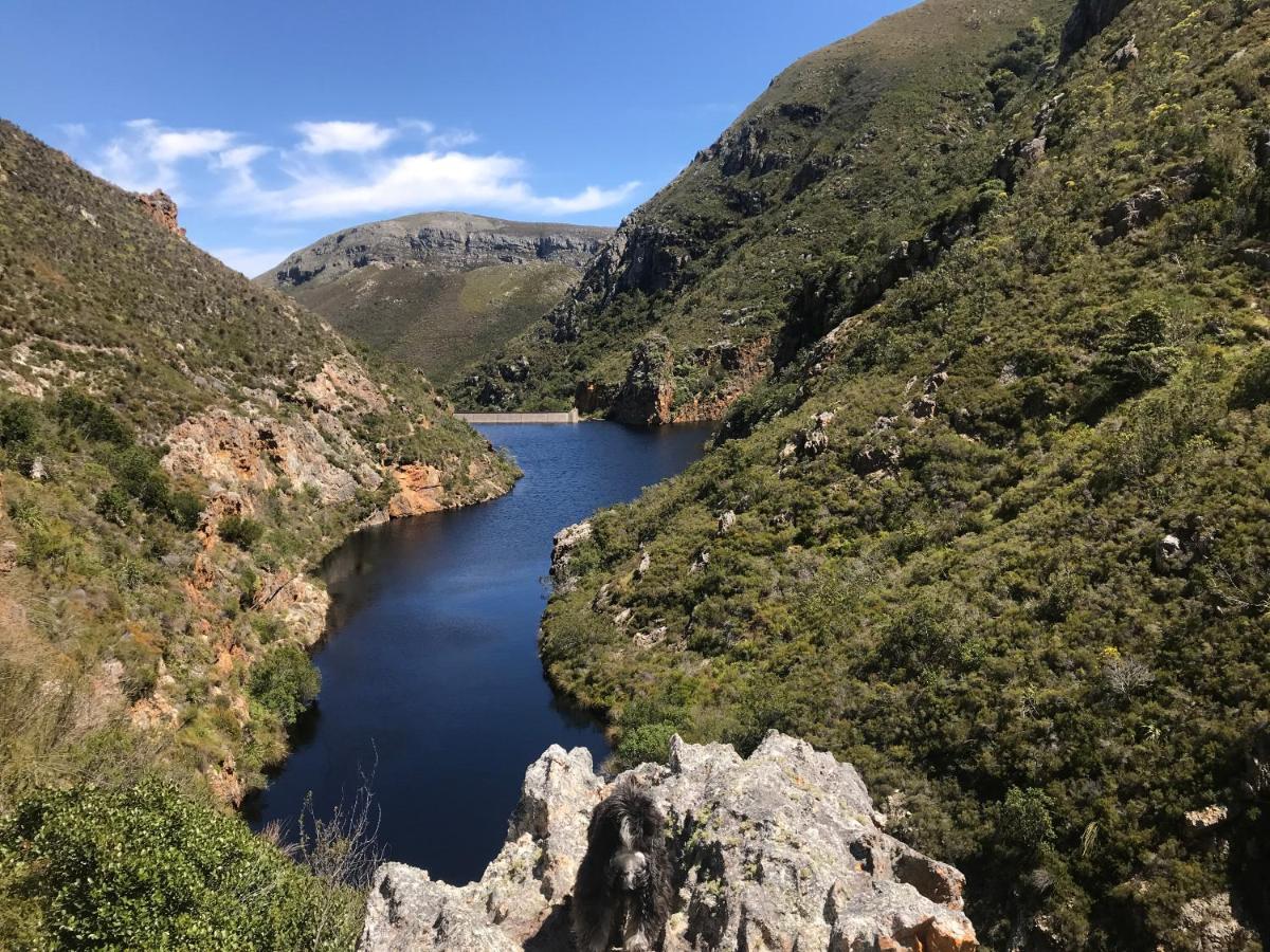 Kleine Vrede Farm Cottage Hermanus Bagian luar foto