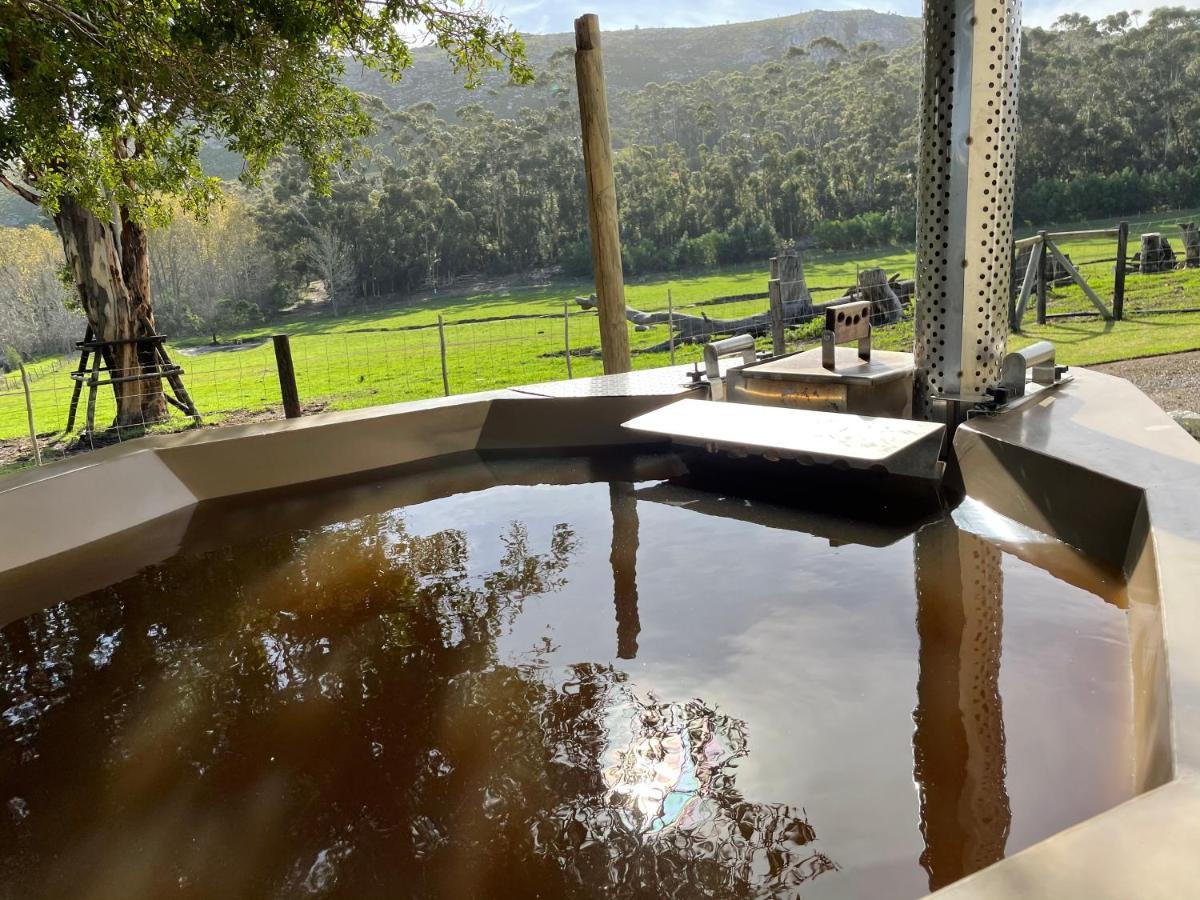 Kleine Vrede Farm Cottage Hermanus Bagian luar foto