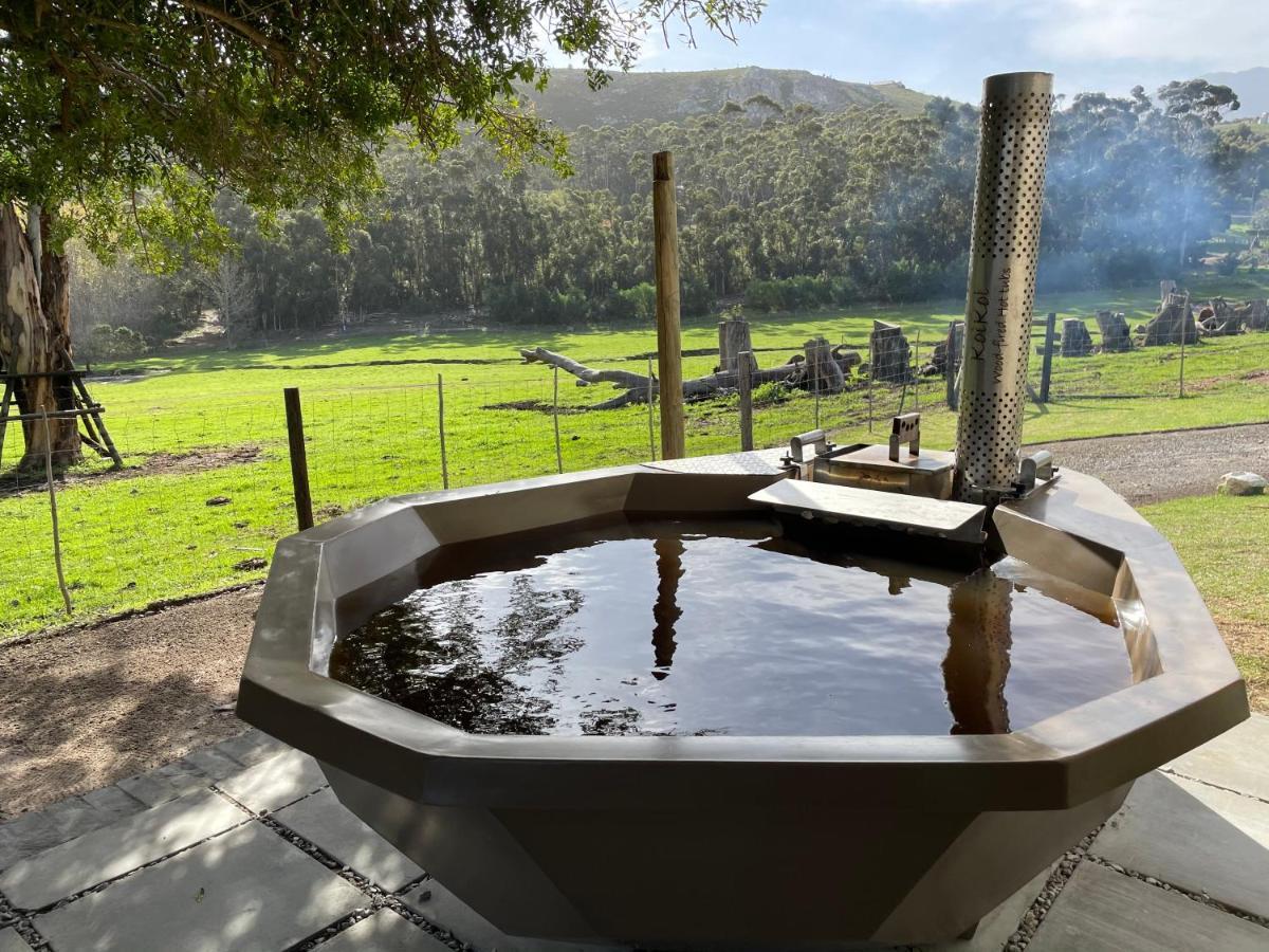 Kleine Vrede Farm Cottage Hermanus Bagian luar foto