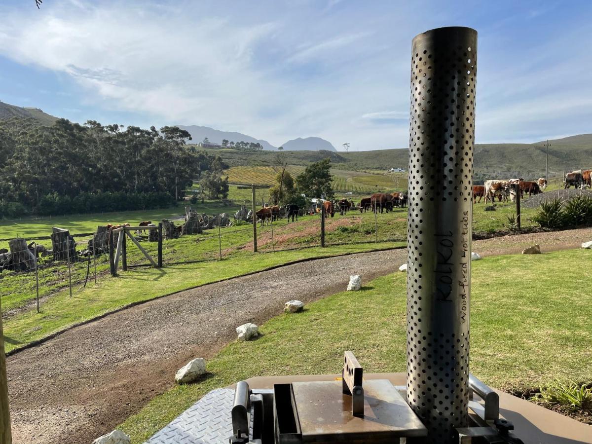 Kleine Vrede Farm Cottage Hermanus Bagian luar foto