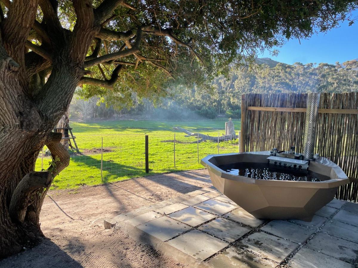 Kleine Vrede Farm Cottage Hermanus Bagian luar foto